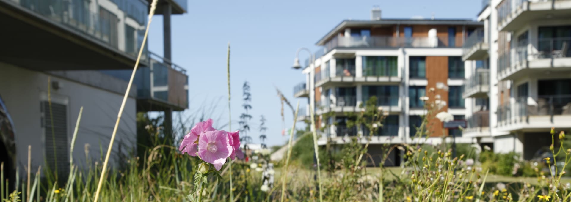 Haus Sanddüne in Heiligenhafen